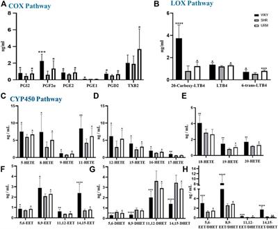 Dissecting the Regulation of Arachidonic Acid Metabolites by Uncaria rhynchophylla (Miq). Miq. in Spontaneously Hypertensive Rats and the Predictive Target sEH in the Anti-Hypertensive Effect Based on Metabolomics and Molecular Docking